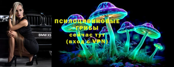 твердый Аркадак