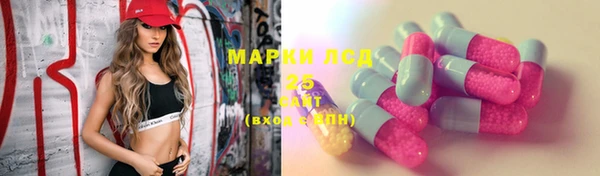 твердый Аркадак