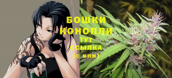 твердый Аркадак