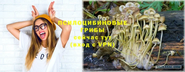 твердый Аркадак
