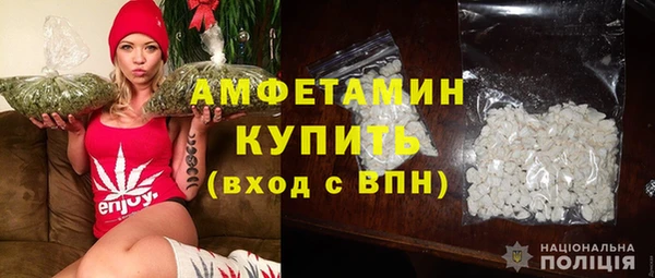 шишки Армянск