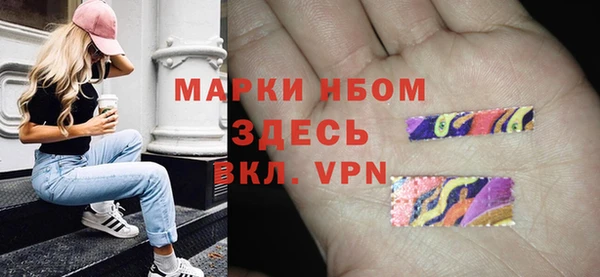 твердый Аркадак