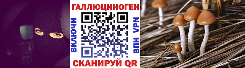 Псилоцибиновые грибы мицелий как найти закладки Ейск