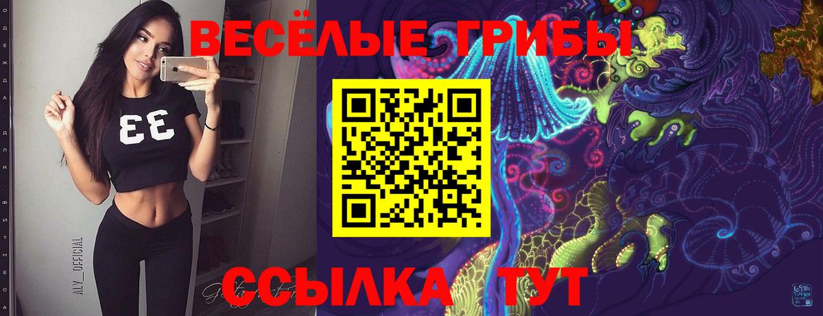 купить  сайты  Вход с VPN  Ейск  Галлюциногенные грибы прущие грибы 